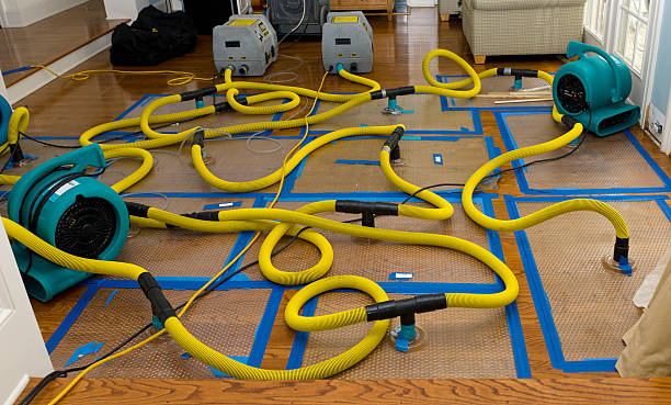Professional Flood Damage Restoration technician working in Wofford Heights, CA